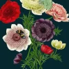 Madame Treacle Anemones Greetings Card