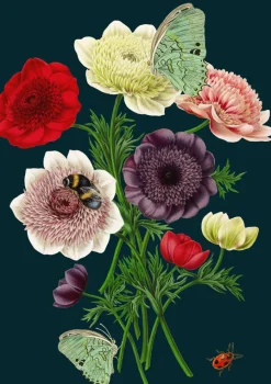 Madame Treacle Anemones Greetings Card