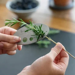 Burgon & Ball Asteraceae Herb Set