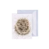 Wrendale Designs 'Awakening' Hedgehog Enclosure Card