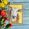 Jen Winnett Baa-Bara Sheep Eco-card