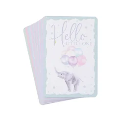Wrendale Designs Baby Animals Milestone Cards