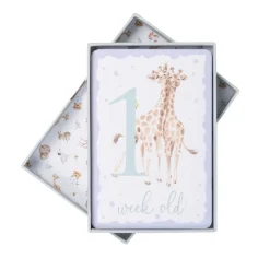 Wrendale Designs Baby Animals Milestone Cards