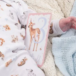 Wrendale Designs Baby Animals Milestone Cards