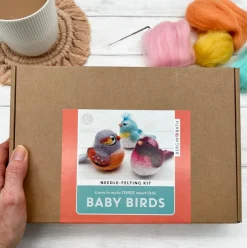 Bergin & Bath Baby Birds Needle Felting Kit