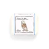 The Chocolate Detective 12 Barn Owl Eggs by