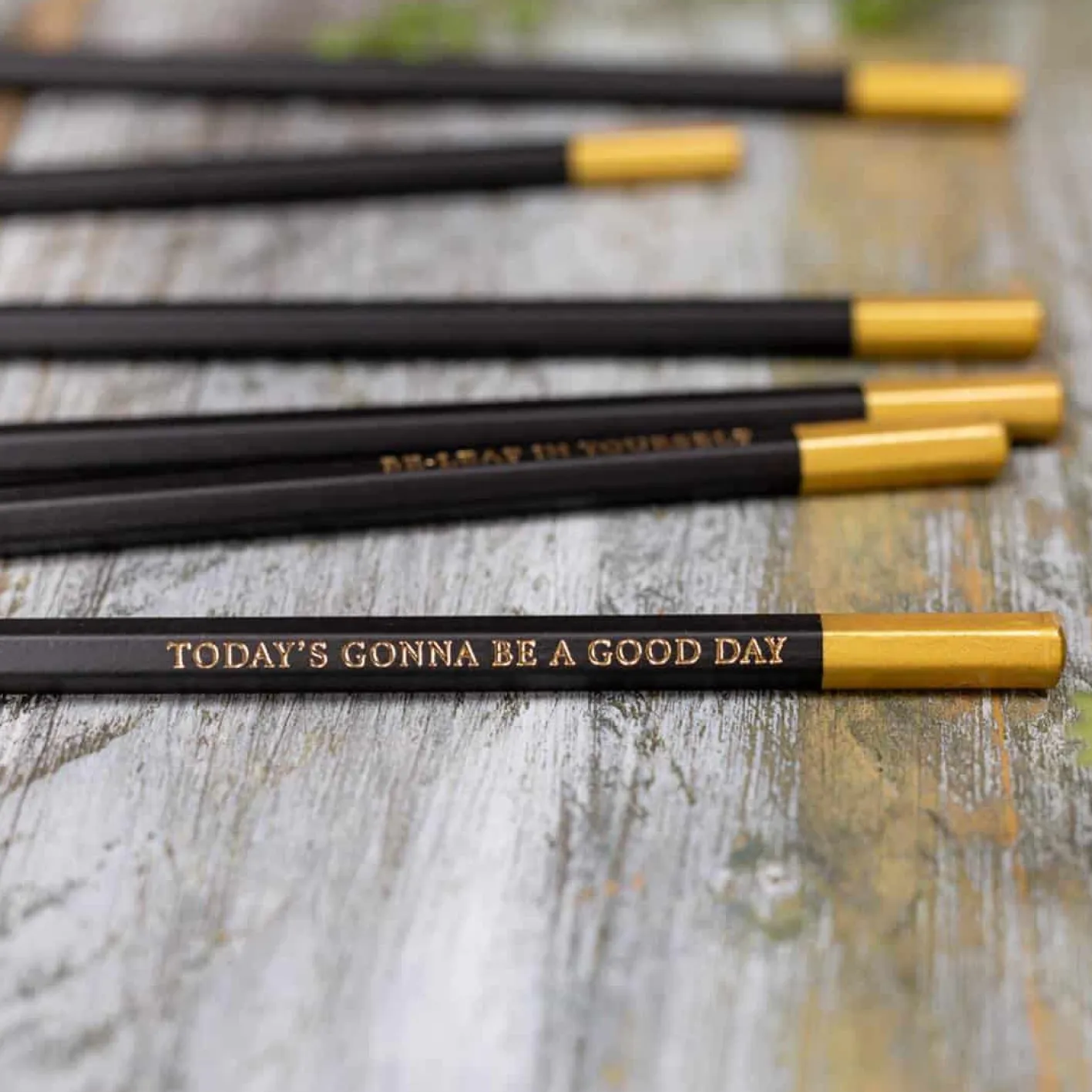 Toasted Crumpet Bees & Honeysuckle Set of 6 Pencils
