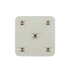 Sophie Allport Bees Coasters- Set of 4