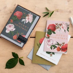 Catherine Lewis Berry Roses Range - Box of 8 Luxury Botanical Christmas Cards