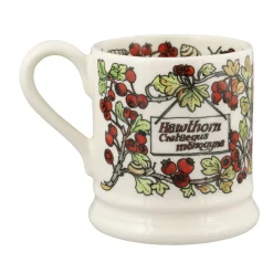 Emma Bridgewater Birds In The Hedgerow Hawthorn & Chaffinch 1/2 Pint Mug