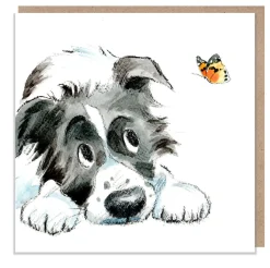 Paper Shed Design Black and White Collie with Butterfly Greetings Card