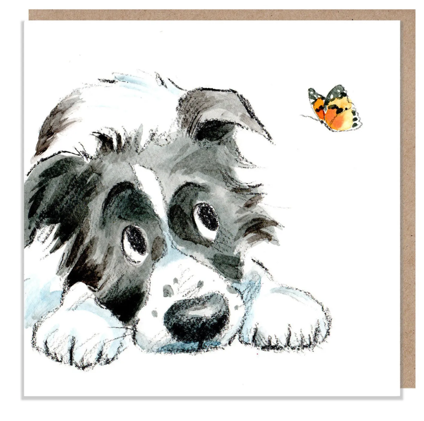 Paper Shed Design Black and White Collie with Butterfly Greetings Card