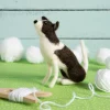 Hawthorn Handmade Border Collie Needle Felting Kit