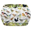 Emma Ball British Birds Melamine Medium Tray