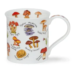 Dunoon Bute Mushrooms & Toadstools Mug