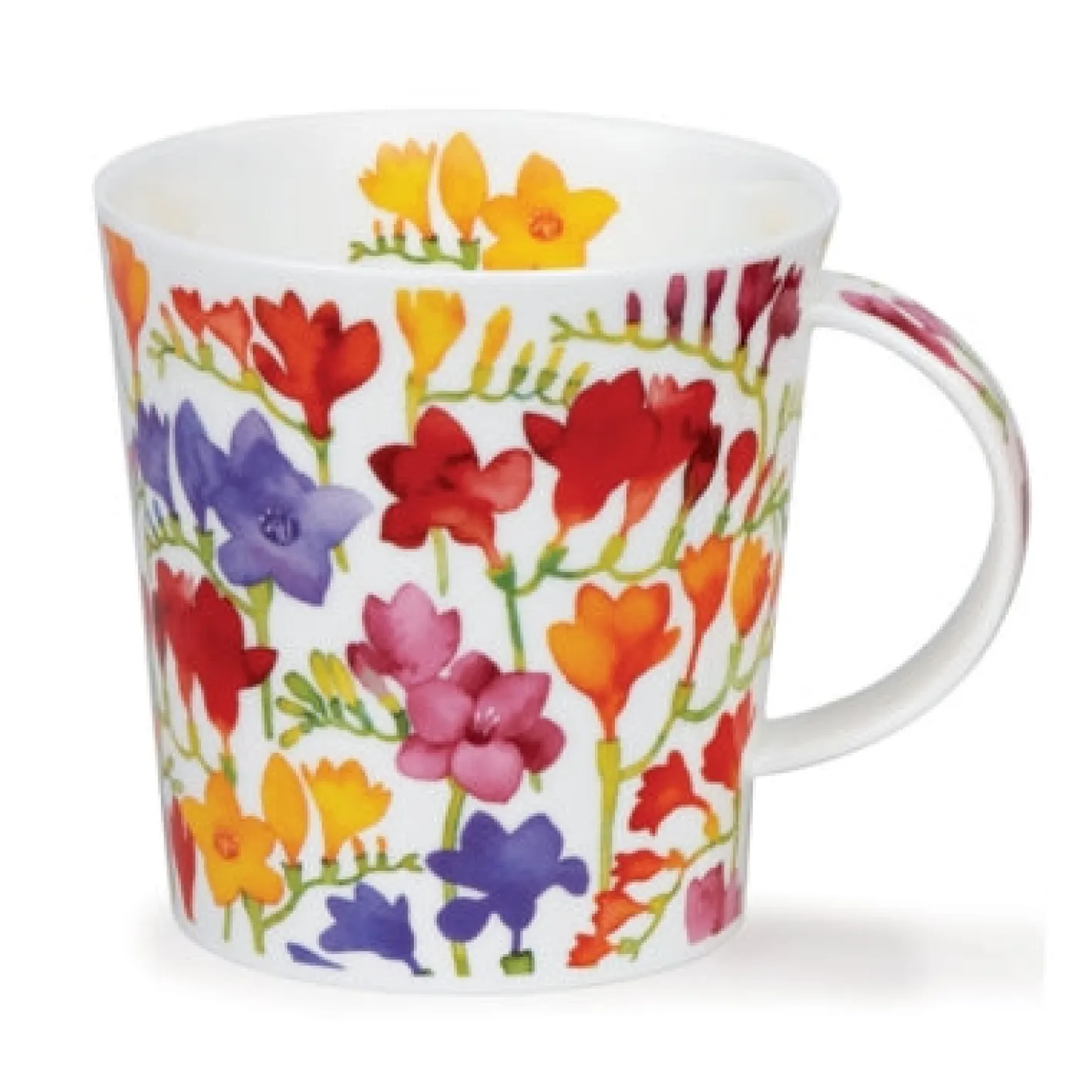 Dunoon Cairngorm Floral Fiesta Mug