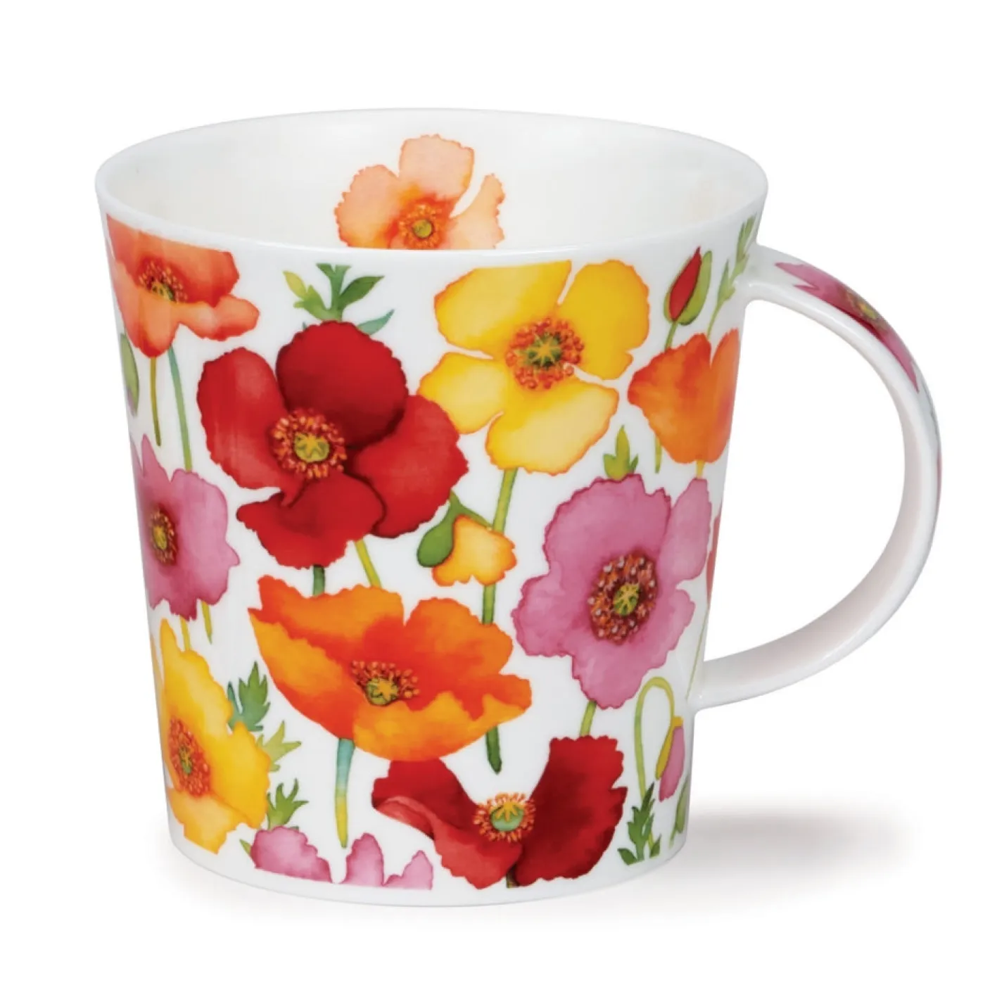 Dunoon Cairngorm Floral Fiesta Mug