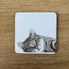 Katherine Sheard Designs Carter Cat Coaster
