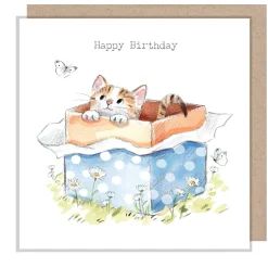 Paper Shed Design Cat in a Box "Happy Birthday" Greetings Card