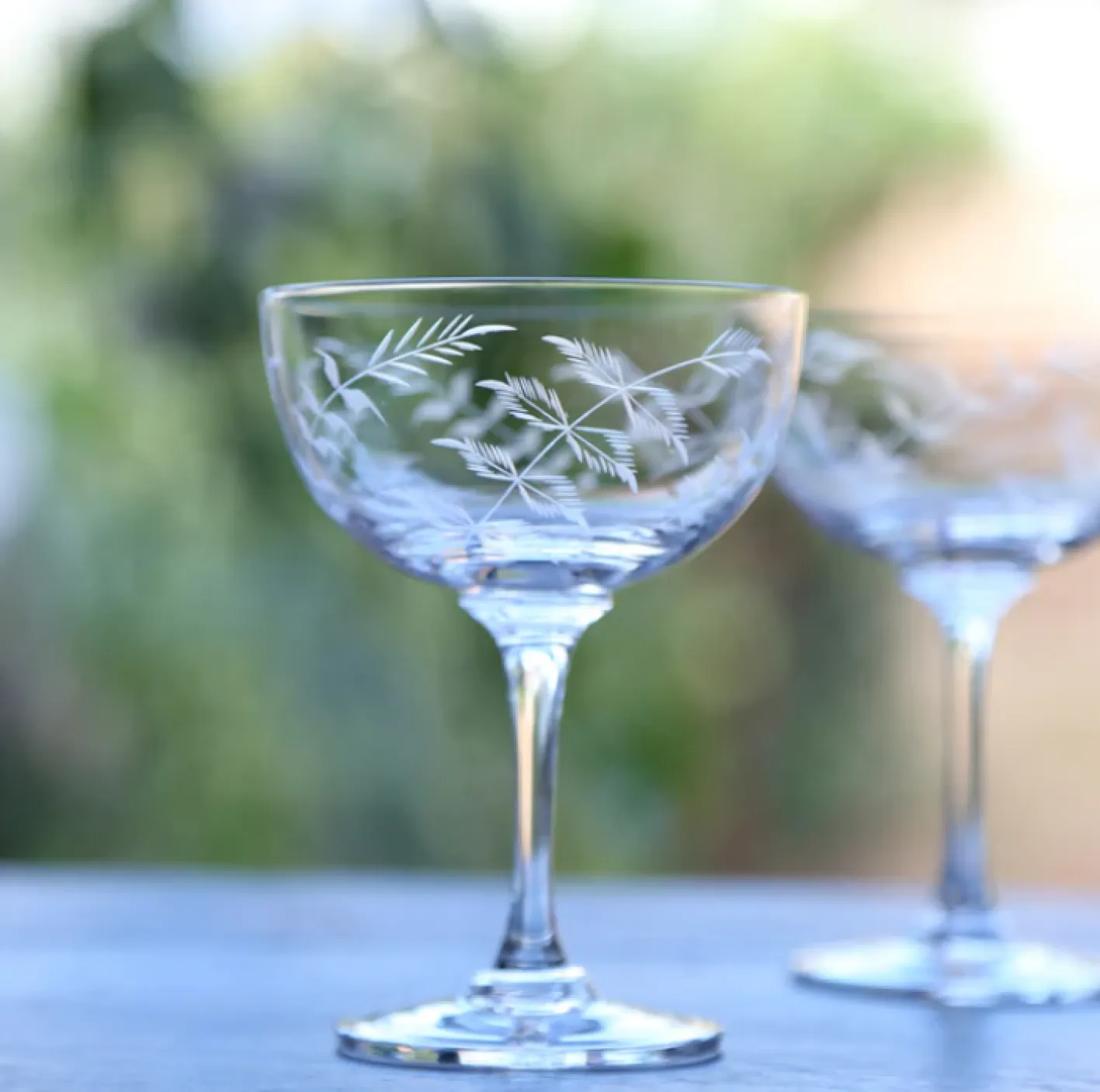 The Vintage List Champagne Saucer with Ferns Design by