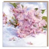 Paper Shed Design Cherry Blossoms by Dan O'Brien Greetings Card