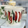 Emma Bridgewater Chili Plant Pot