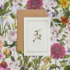 Catherine Lewis Clematis - 'Botanical Archive: Everyday Edition' - card