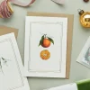 Catherine Lewis Clementine - 'Botanical Archive: Festive Edition' - card
