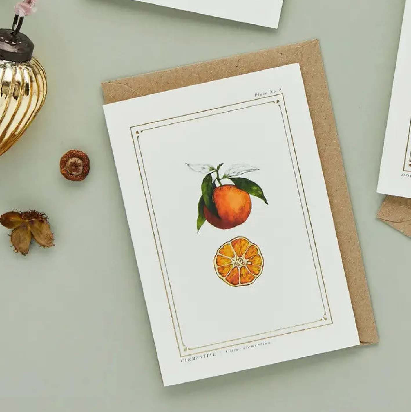 Catherine Lewis Clementine - 'Botanical Archive: Festive Edition' - card