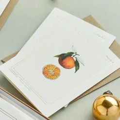 Catherine Lewis Clementine - 'Botanical Archive: Festive Edition' - card