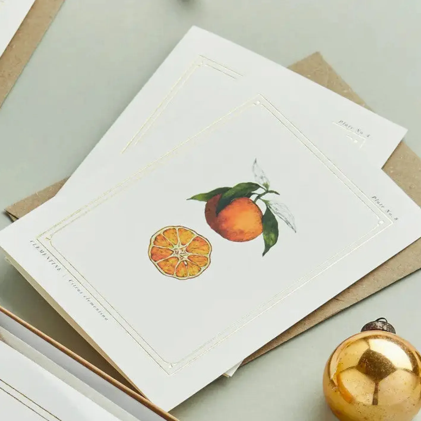 Catherine Lewis Clementine - 'Botanical Archive: Festive Edition' - card