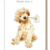 Paper Shed Design Cockapoo with Daisy "Thank You" Greetings Card