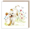 Paper Shed Design Cockapoo with Flowers & Butterflies Greetings Card