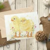 Jen Winnett Connie and Clyde the Chicks Blank Greetings Eco Card