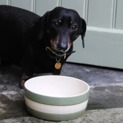 Cornishware Dog Bowl