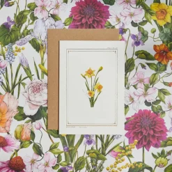 Catherine Lewis Daffodil- 'Botanical Archive: Everyday Edition' - card