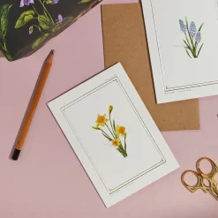 Catherine Lewis Daffodil- 'Botanical Archive: Everyday Edition' - card
