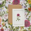 Catherine Lewis Dahlia - 'Botanical Archive: Everyday Edition' - card