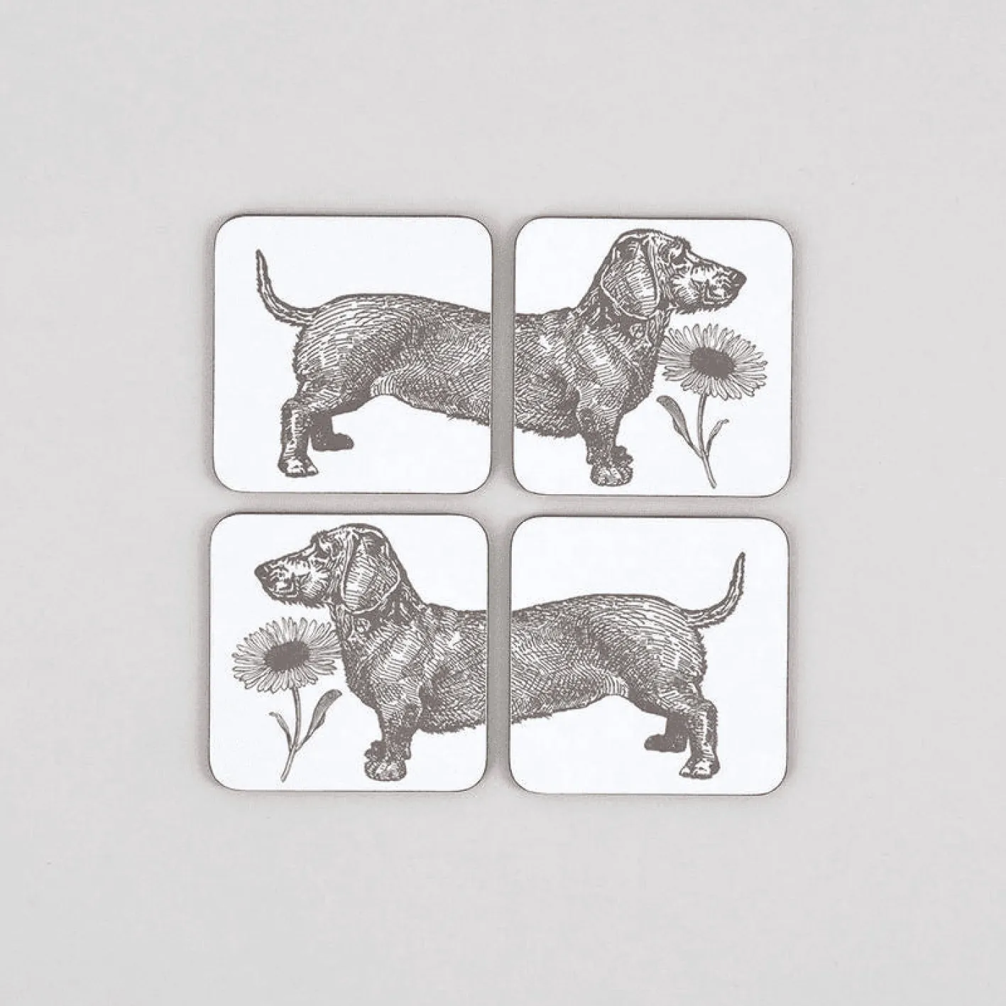 Thornback & Peel Dog and Daisy Set of 4 Coasters
