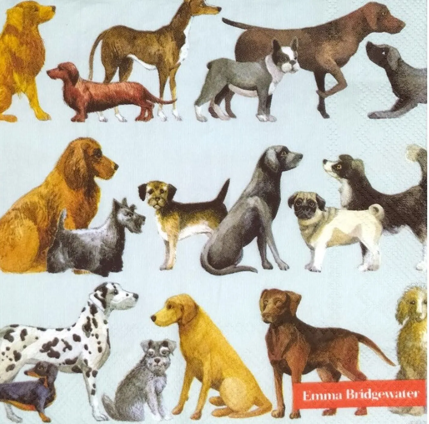 Emma Bridgewater DOGS Paper Napkins
