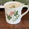 Sophia Davenport Downy-leaved Dog Rose Mug