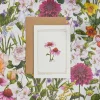 Catherine Lewis Echinacea - 'Botanical Archive: Everyday Edition' - card