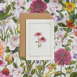 Catherine Lewis Echinacea - 'Botanical Archive: Everyday Edition' - card