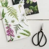 Catherine Lewis Foxglove & Ferns - card