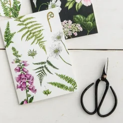 Catherine Lewis Foxglove & Ferns - card