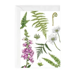 Catherine Lewis Foxglove & Ferns - card