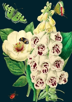 Madame Treacle Foxglove & Peony Greetings Card