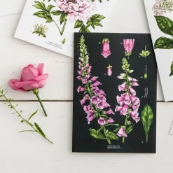 Catherine Lewis Foxglove - Black - card
