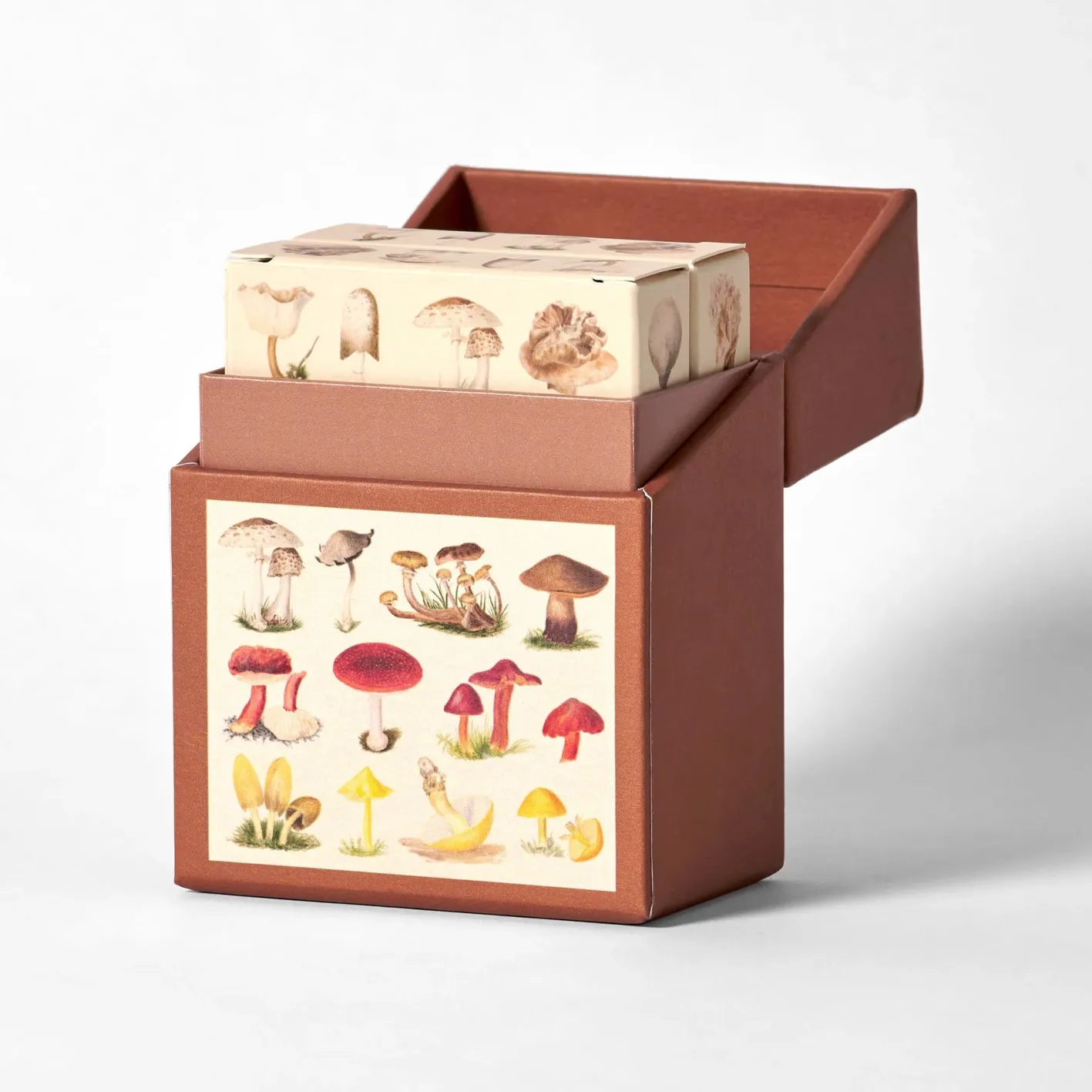 Roomytown Fungi Playing Cards - Set of 2 Decks