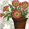 Emma Ball Gerbera Greetings Card